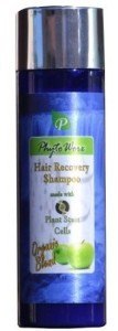 Phytoworx Organic Hair Loss Shampoo