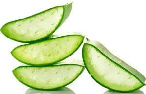 Aloe Vera Composition - Aloe Vera for Hair Loss