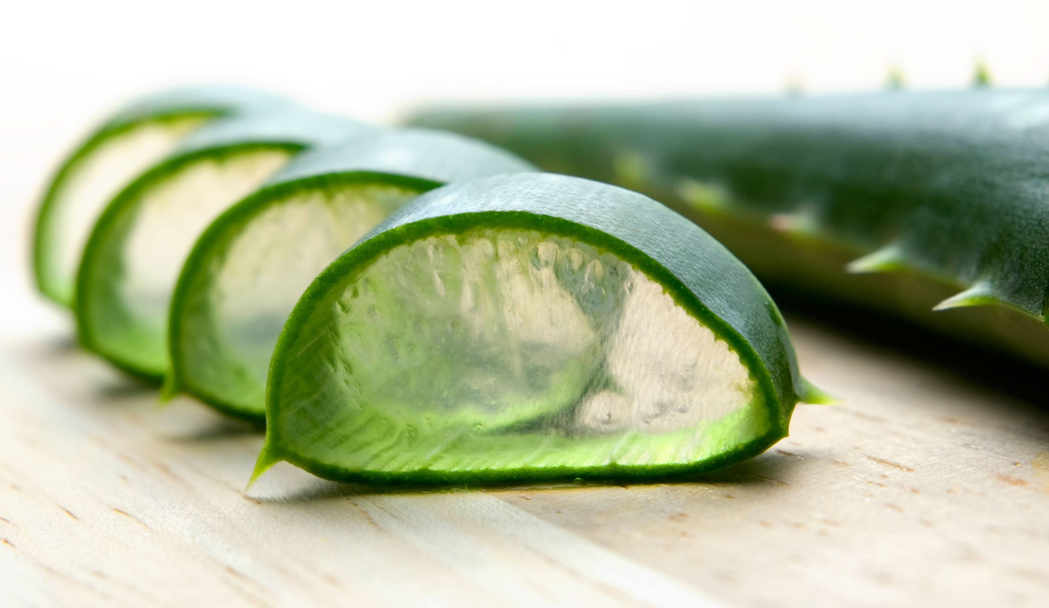 Aloe Vera for Hair Loss: The Magical Plant?