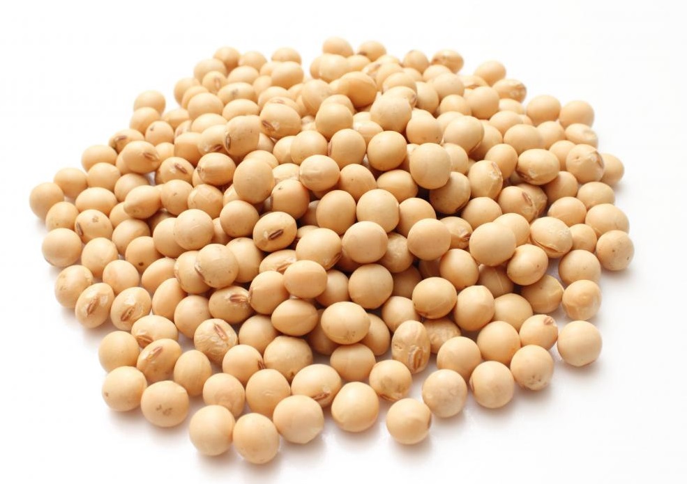 Soy Beans with Isoflavones