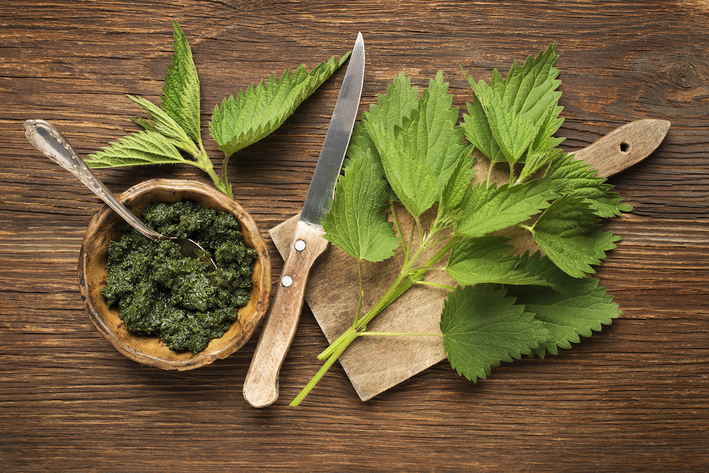 How You Can Use Stinging Nettle Root for Hair Loss