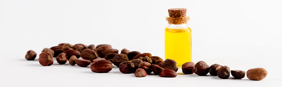 jojoba oil for hair growth