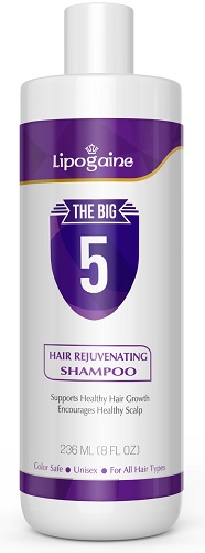 Lipogaine The Big 5 Shampoo